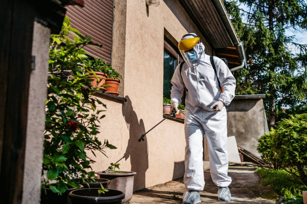 Best Best Pest Control Companies  in Pearl City, HI