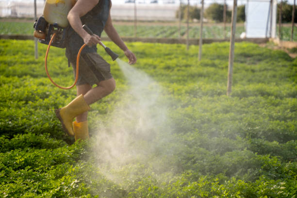 Best Best Pest Control Companies  in Pearl City, HI