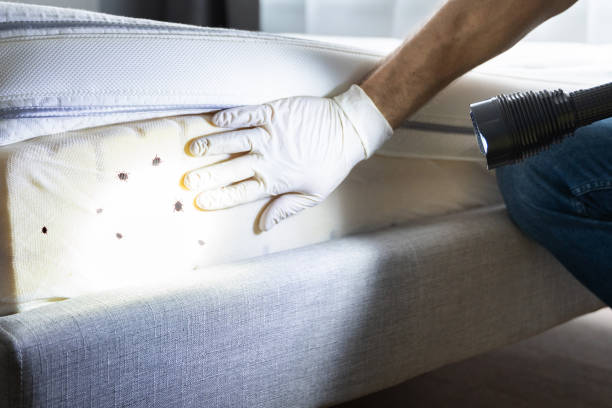 Best Pest Prevention Services  in Pearl City, HI